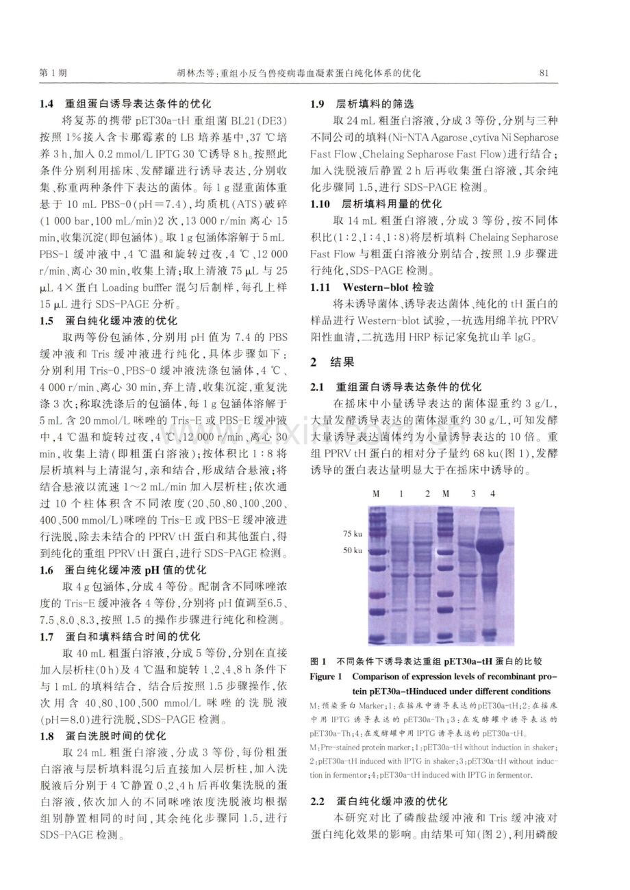 重组小反刍兽疫病毒血凝素蛋白纯化体系的优化.pdf_第3页