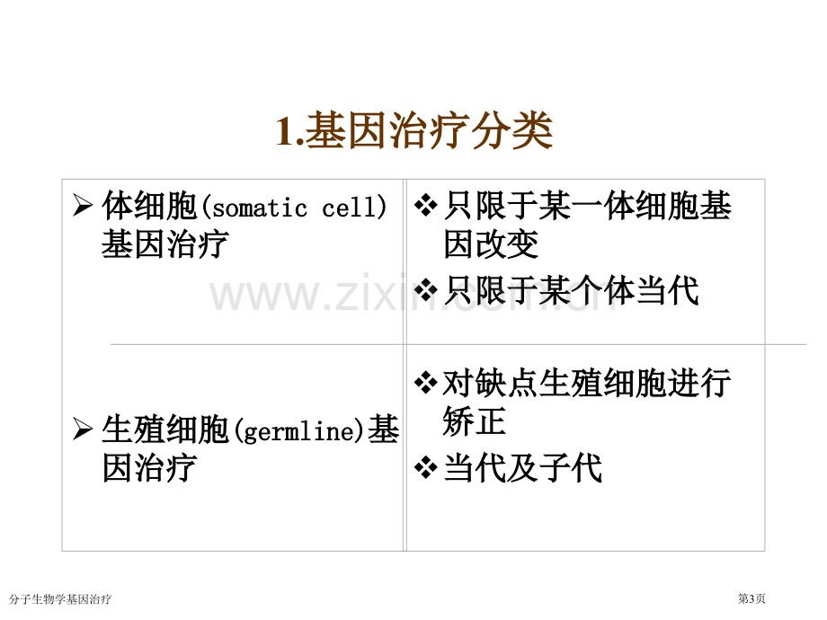 分子生物学基因治疗专家讲座.pptx_第3页