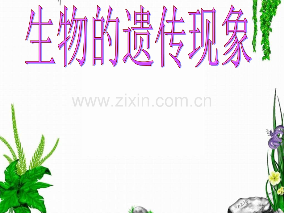 生物的遗传现象.pptx_第1页