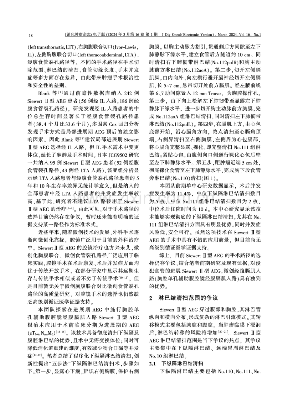 SiewertⅡ型食管胃结合部腺癌的外科治疗.pdf_第2页