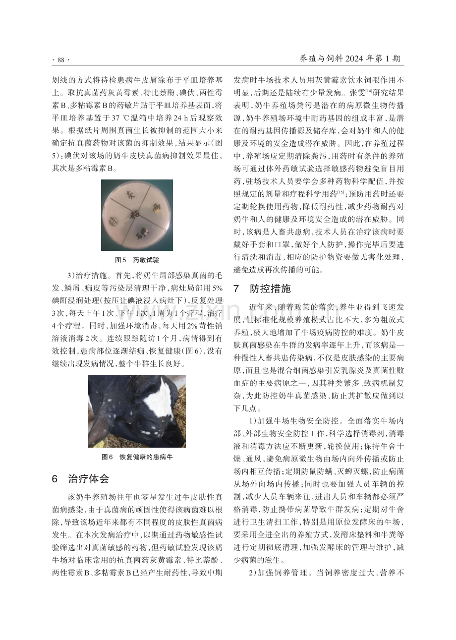 1例奶牛皮肤真菌病的诊治与防控.pdf_第3页