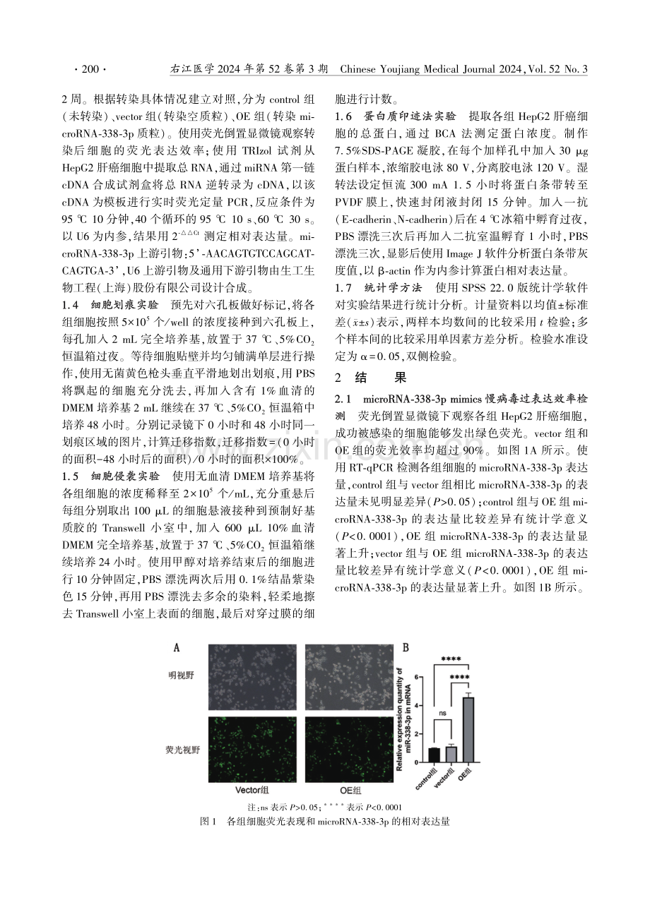 microRNA-338-3p抑制HepG2肝癌细胞的迁移和侵袭.pdf_第3页