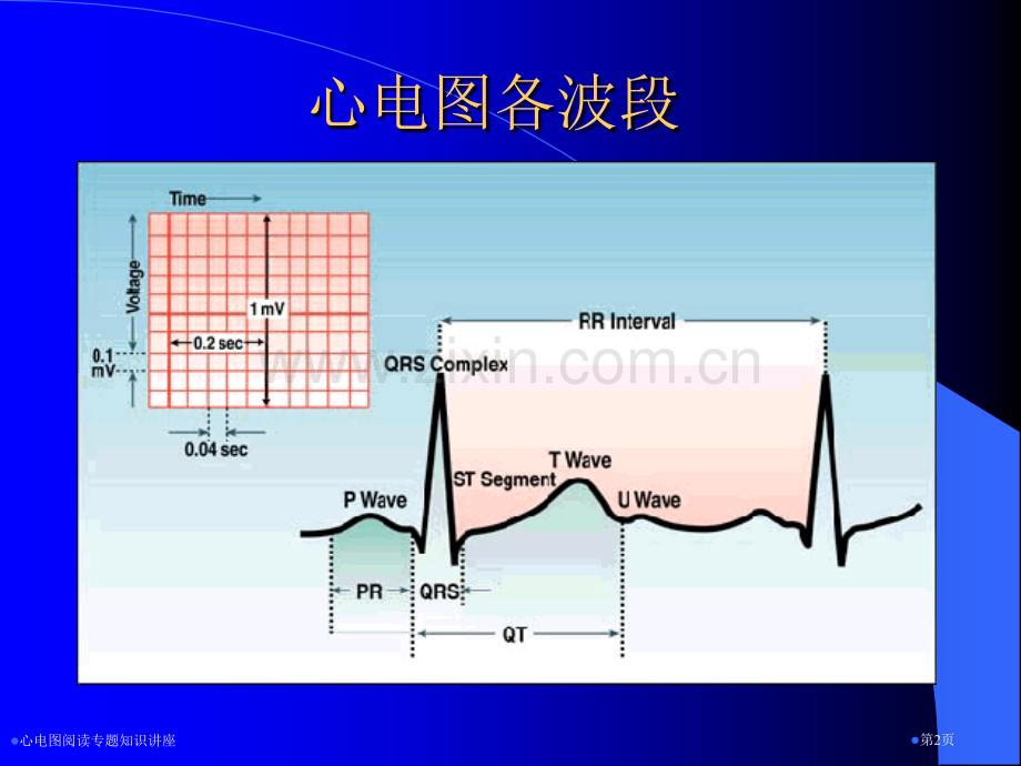 心电图阅读专题知识讲座专家讲座.pptx_第2页