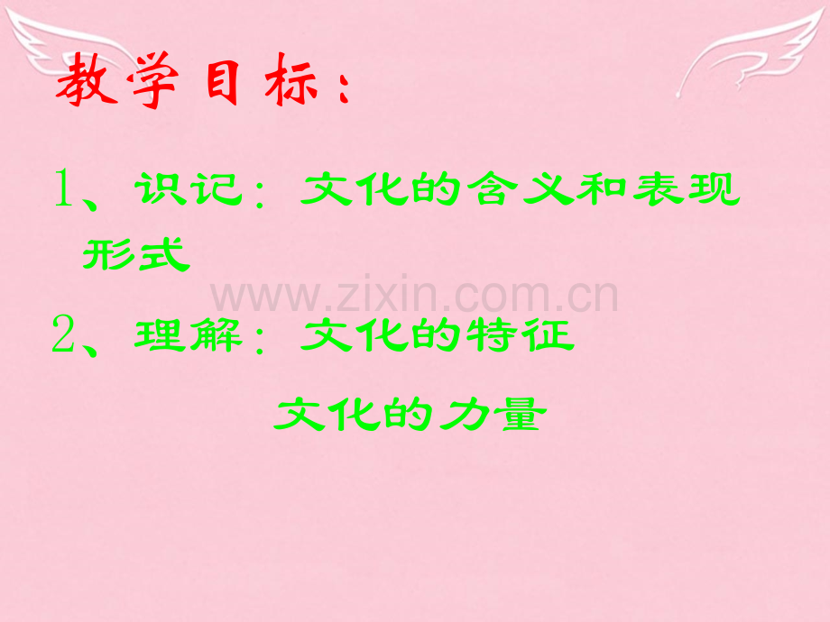 福建省漳州市芗城中学高中政治第一框体味文化新人教版必修.pptx_第2页