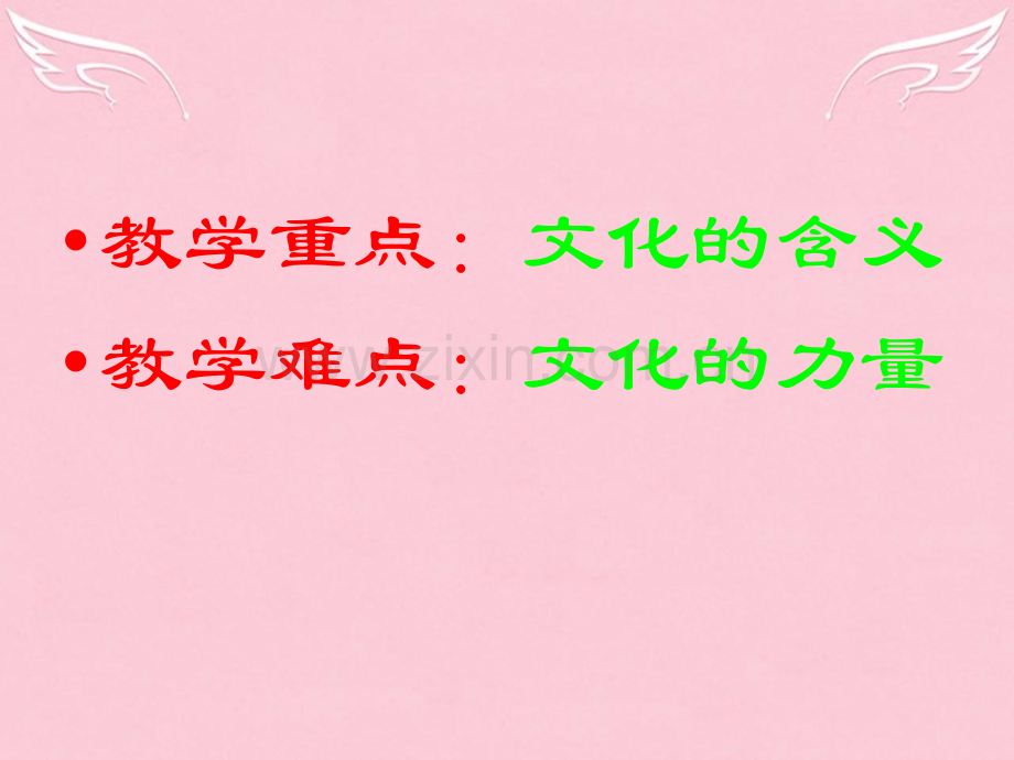 福建省漳州市芗城中学高中政治第一框体味文化新人教版必修.pptx_第3页