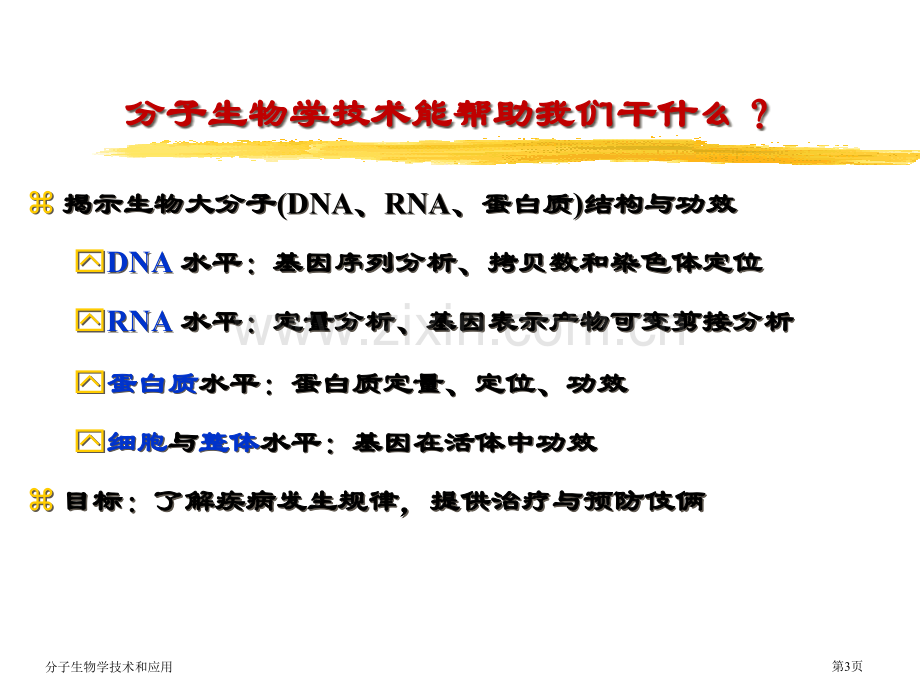 分子生物学技术和应用专家讲座.pptx_第3页