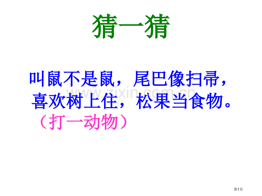 六年级上册语文-22课跑进家来的松鼠-人教新课标市公开课金奖市赛课一等奖课件.pptx_第1页