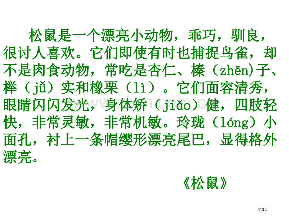 六年级上册语文-22课跑进家来的松鼠-人教新课标市公开课金奖市赛课一等奖课件.pptx_第3页