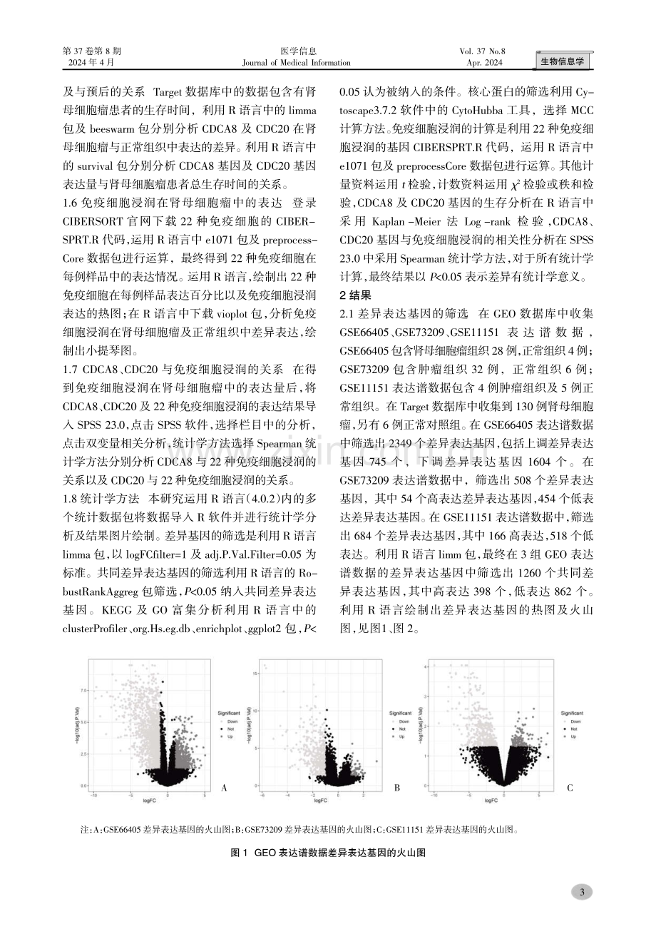 差异表达基因CDCA8、CDC20与肾母细胞瘤患者预后及免疫细胞浸润的关系.pdf_第3页