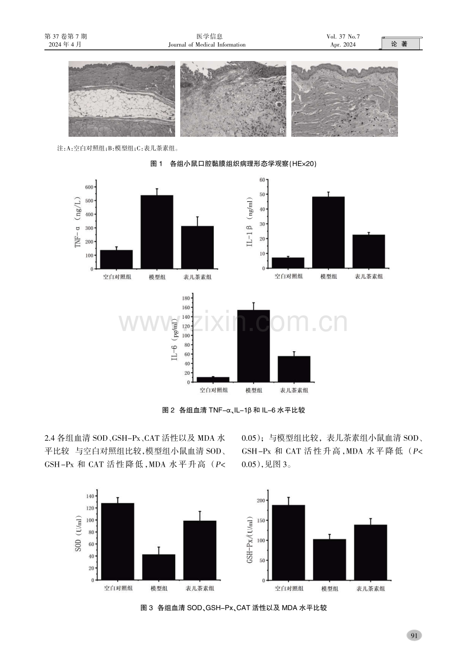 表儿茶素对放射性口腔炎小鼠的抗炎和抗氧化应激作用.pdf_第3页