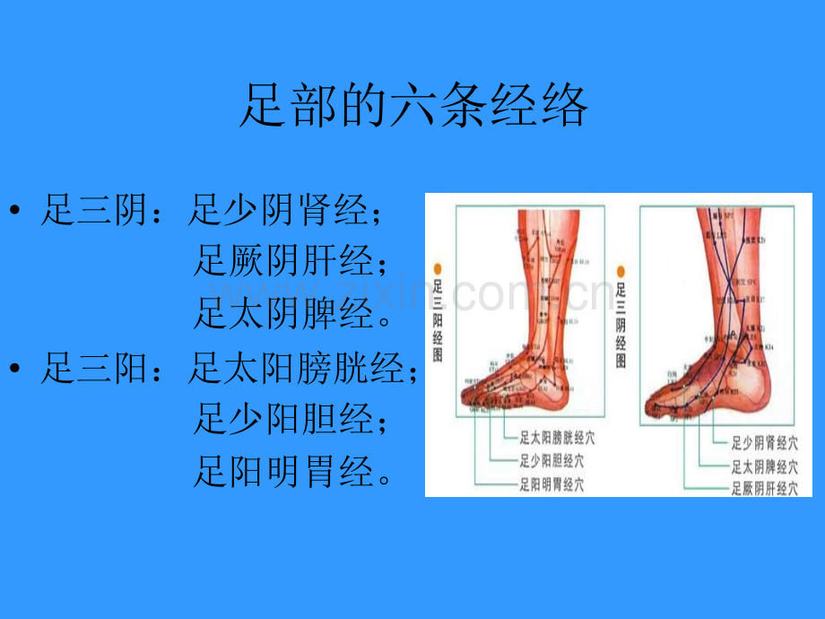 远离亚健康知识讲座.pptx_第2页