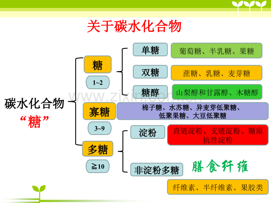 膳食纤维的定义及临床应用.pptx_第3页