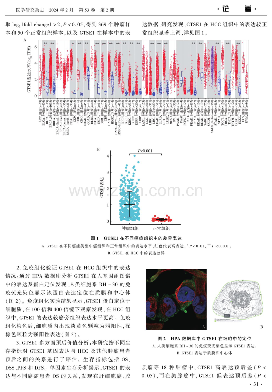 GTSE1在肝癌中的表达及其对预后和免疫浸润的影响.pdf_第3页