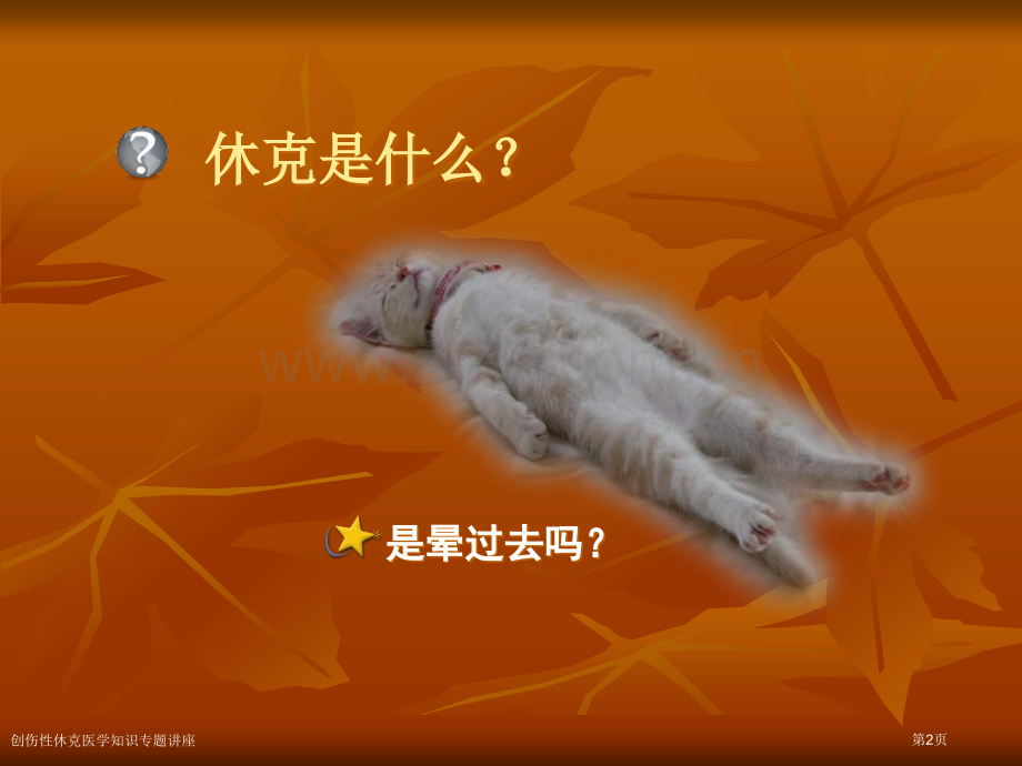 创伤性休克医学知识专题讲座专家讲座.pptx_第2页