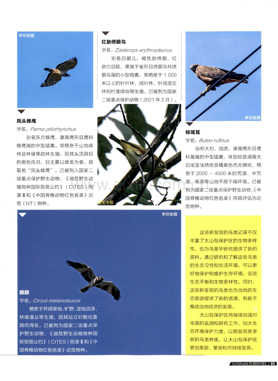 2023年大山包保护区新记录鸟类5种.pdf_第2页