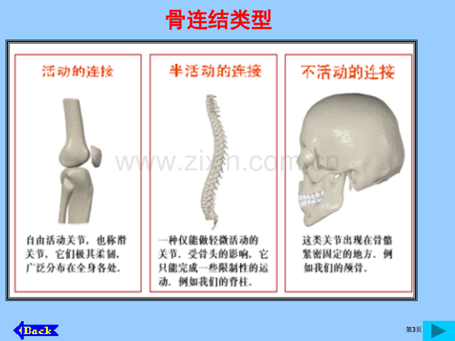 初一生物关节公开课一等奖优质课大赛微课获奖课件.pptx_第3页