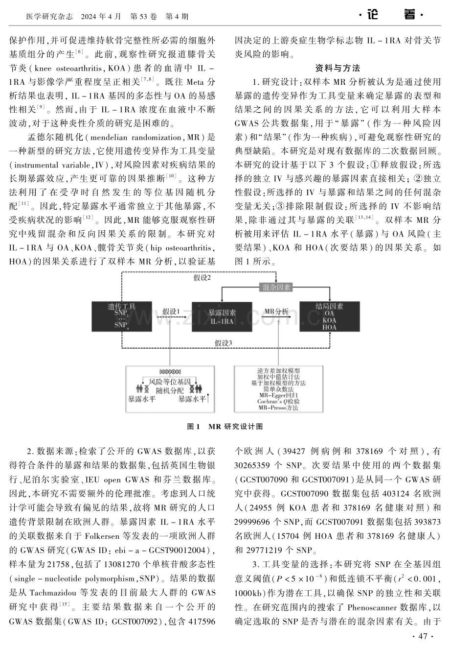 白细胞介素-1受体拮抗剂与骨关节炎及亚型的孟德尔随机化研究 (1).pdf_第2页