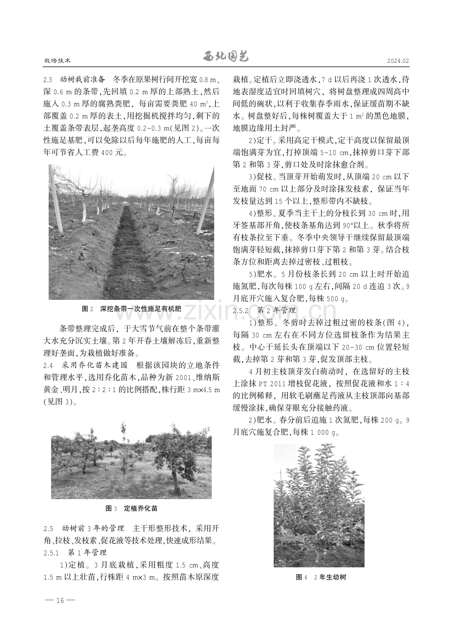 矮砧密植苹果园分阶段更新技术.pdf_第2页