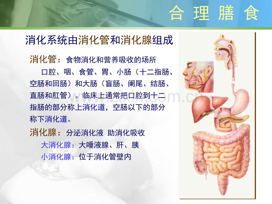 膳食喝水.pptx_第2页