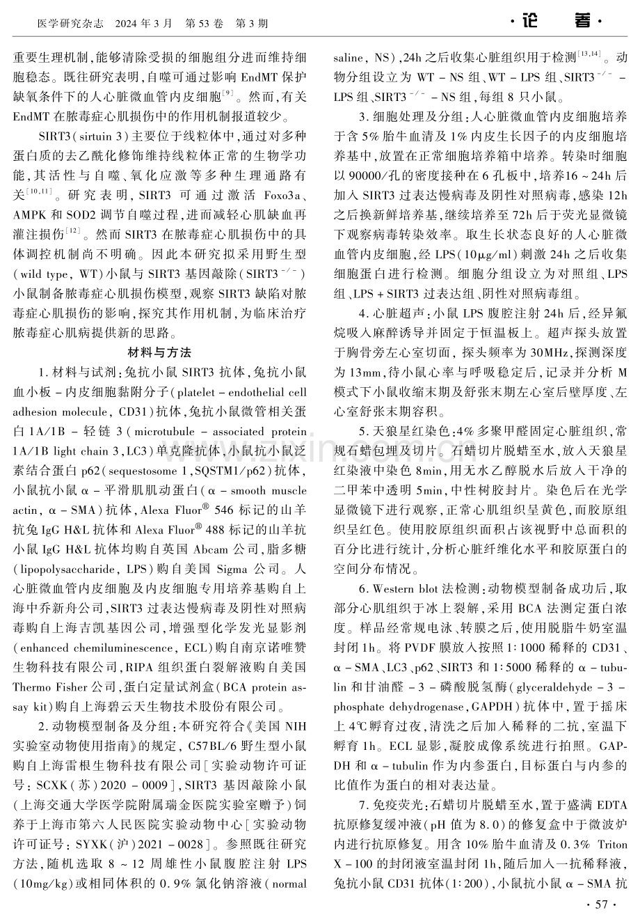 SIRT3缺陷对脓毒症心肌损伤的影响及作用机制.pdf_第3页