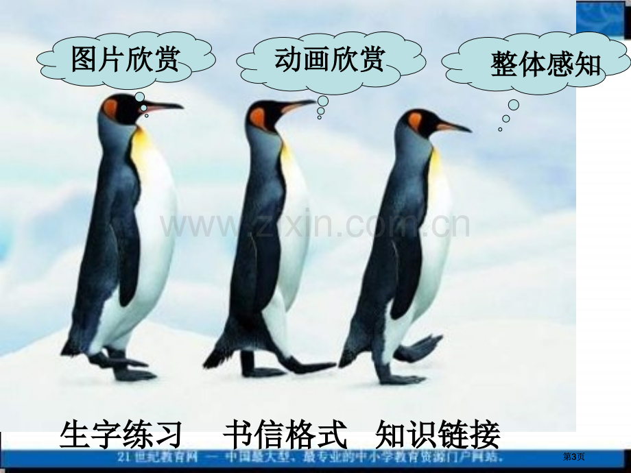 冀教版四上一封从南极寄来的信之二市公开课金奖市赛课一等奖课件.pptx_第3页