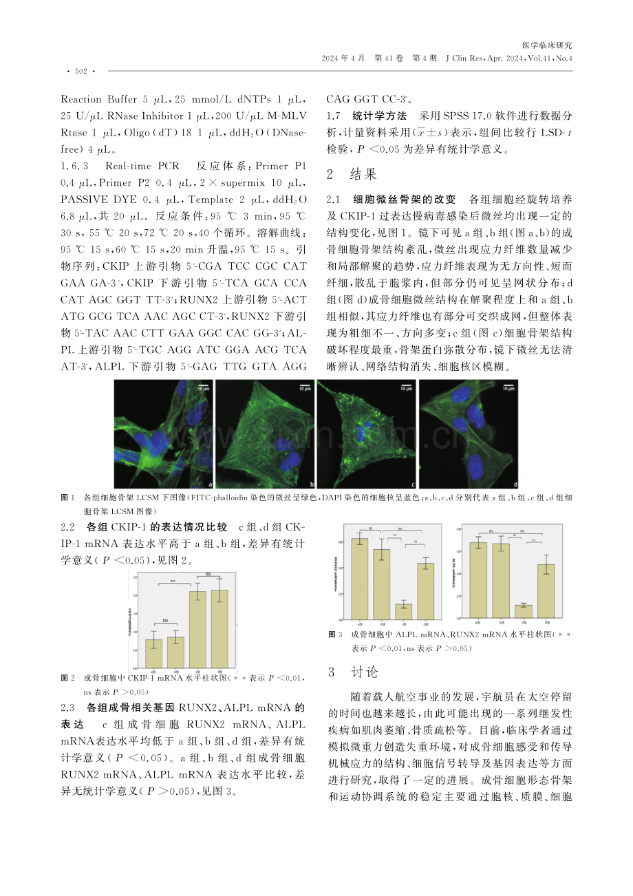 CKIP-1对模拟失重诱导的成骨细胞微丝变化的影响.pdf_第3页