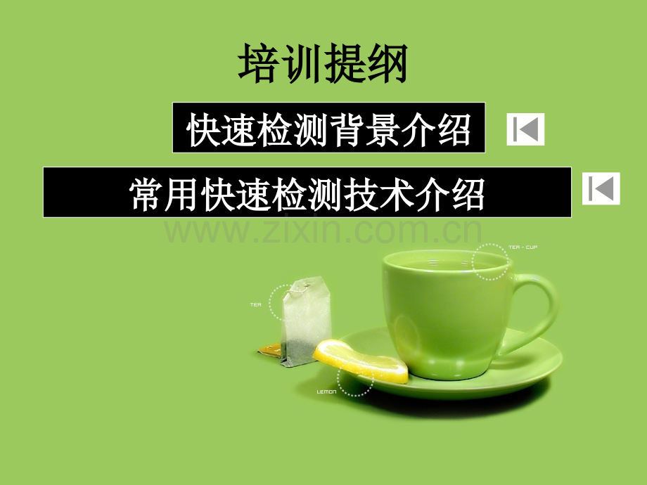 食品安全快速检测.pptx_第2页