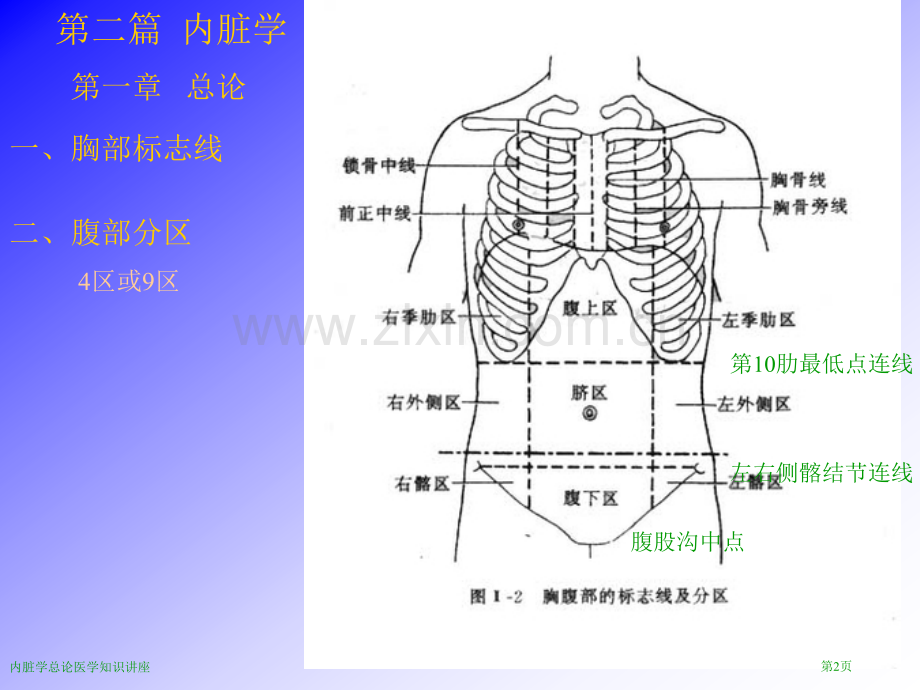 内脏学总论医学知识讲座专家讲座.pptx_第2页