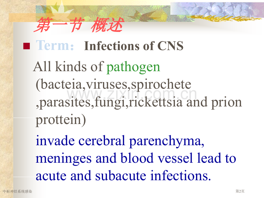 中枢神经系统感染专家讲座.pptx_第2页