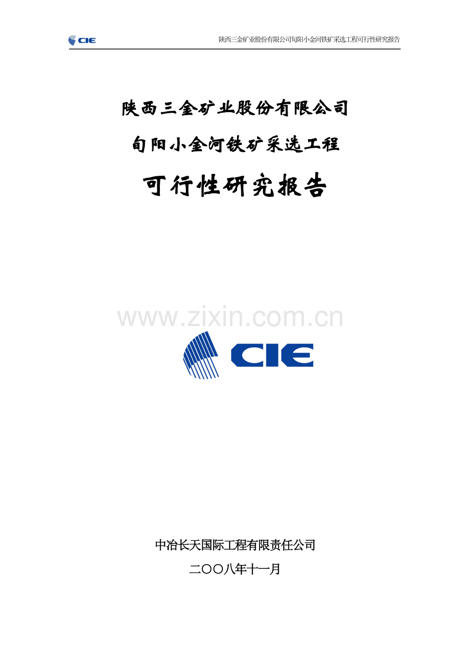 某矿业股份有限公司旬阳小金河铁矿采选工程项目投资可行性研究报告.doc_第1页