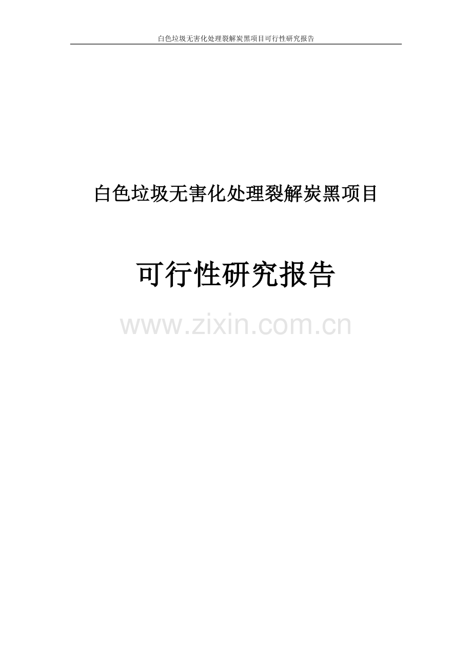 白色垃圾无害化处理裂解炭黑项目可行性研究报告.doc_第1页