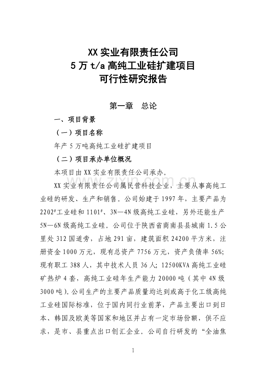 5万吨年高纯工业硅扩建项目立项建建设可行性研究报告.doc_第1页