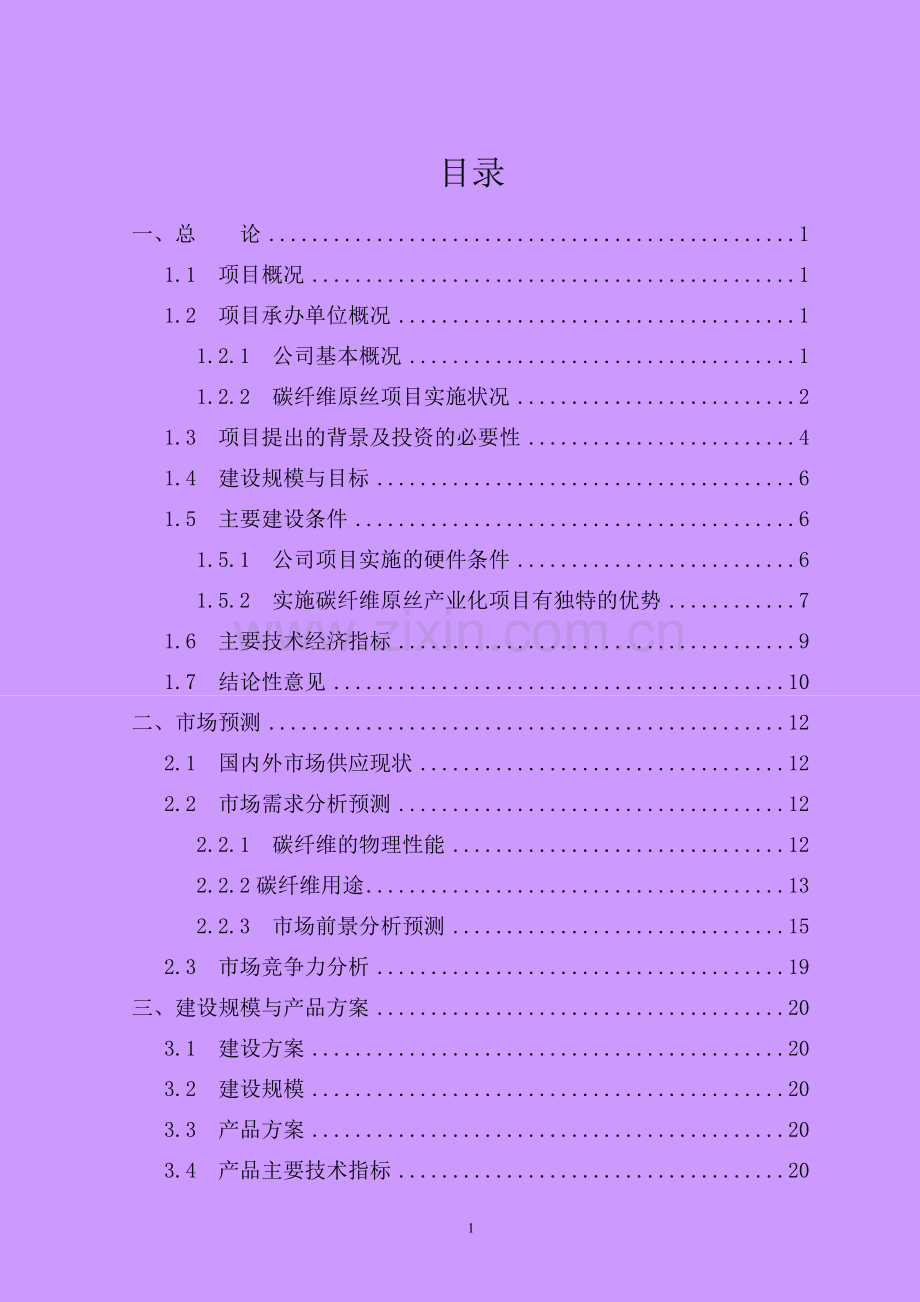 12.5万tapan基碳纤维原丝新建项目可行性研究报告书.doc_第3页