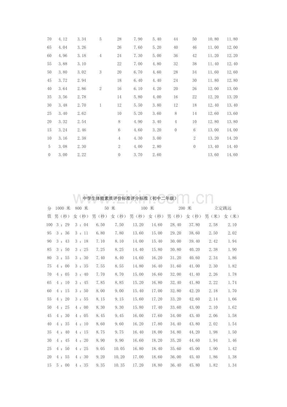 中学生体能素质评价标准评分标准.doc_第2页