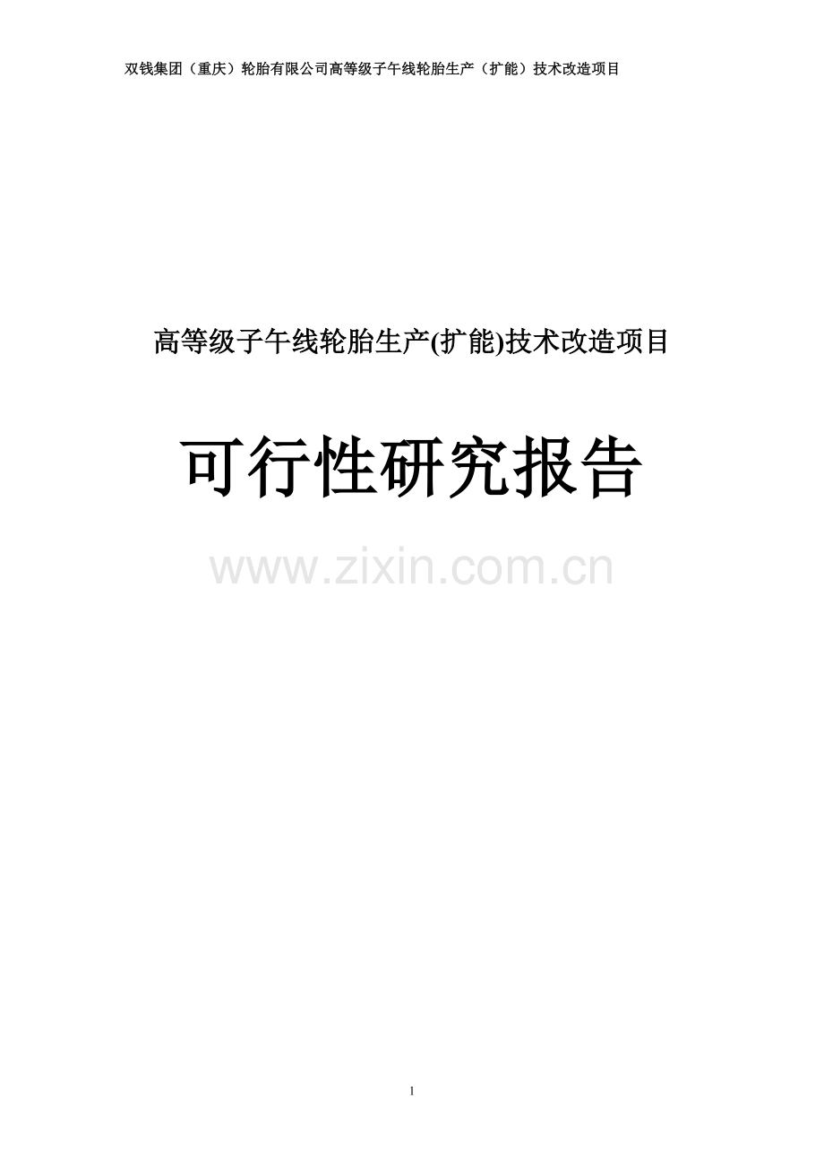 高等级子午线轮胎生产扩能技术改造项目申请立项可行性研究报告.doc_第1页