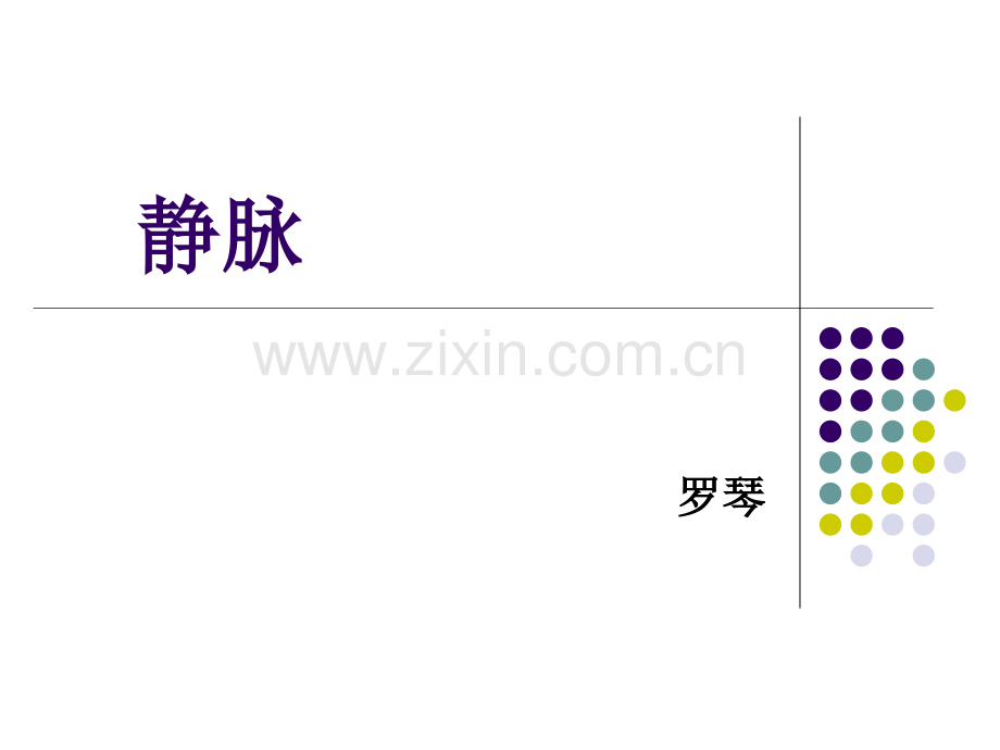 心血管系统静脉.pptx_第1页