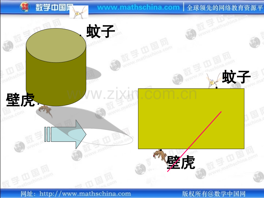 平面展开图几何图形.pptx_第3页