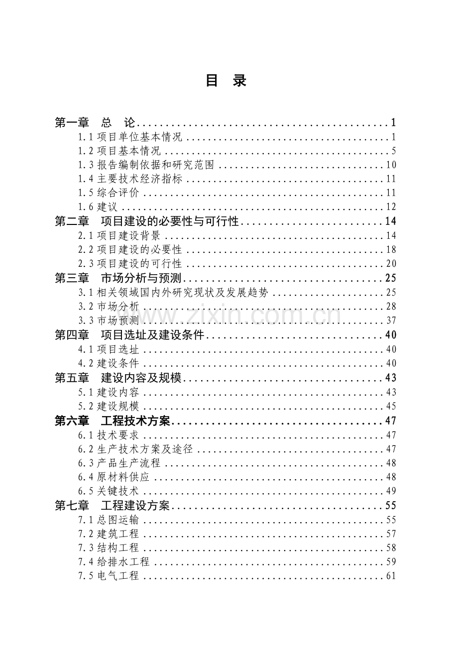 XX公司年产30万辆电动车项目可研报告.doc_第2页