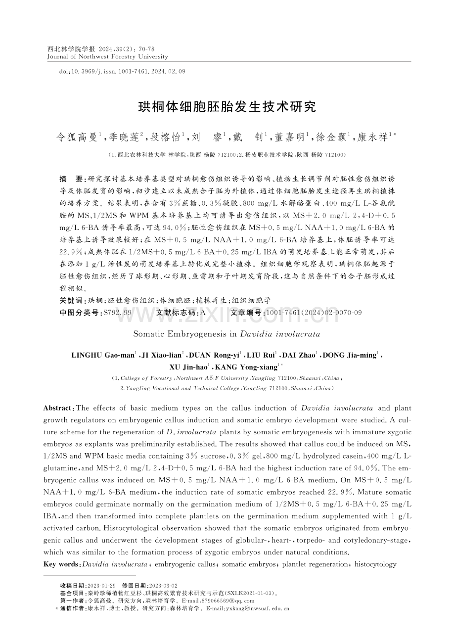 珙桐体细胞胚胎发生技术研究.pdf_第1页