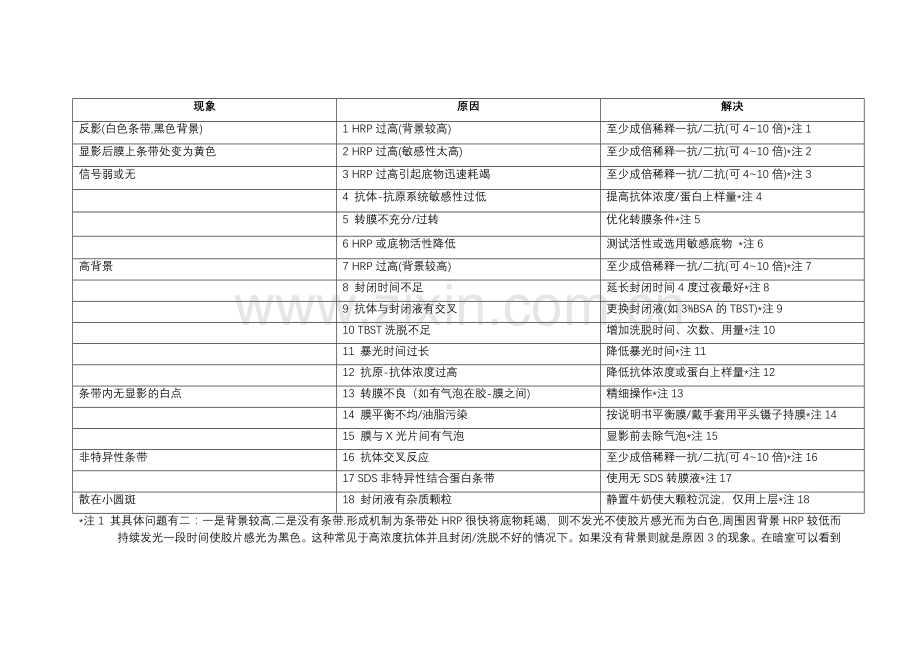 westernblot条带分析及解决方法剖析.doc_第1页