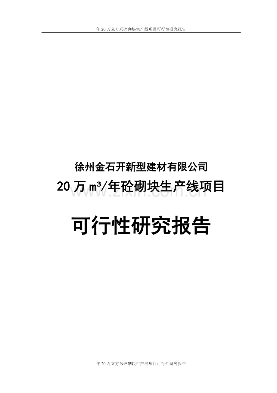 年20万立方米砼砌块生产线项目建设可研报告.doc_第1页