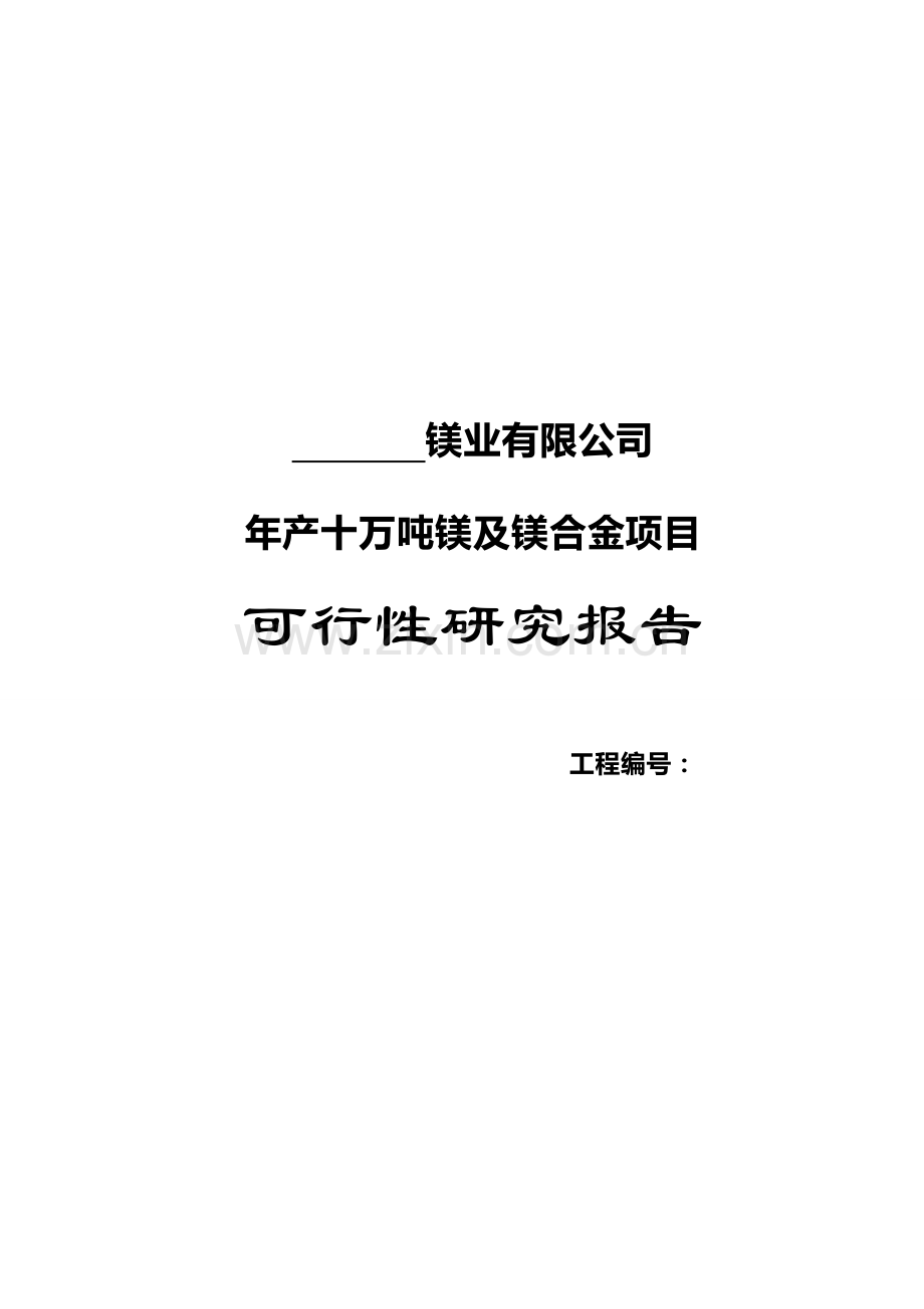 年产十万吨镁及镁合金可行性分析研究报告.doc_第1页