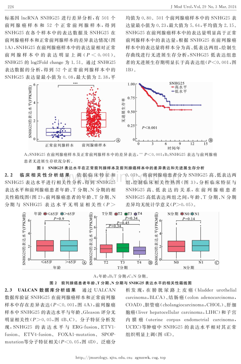 基于TCGA数据库分析lncRNA SNHG25在前列腺癌中的表达及其意义.pdf_第3页