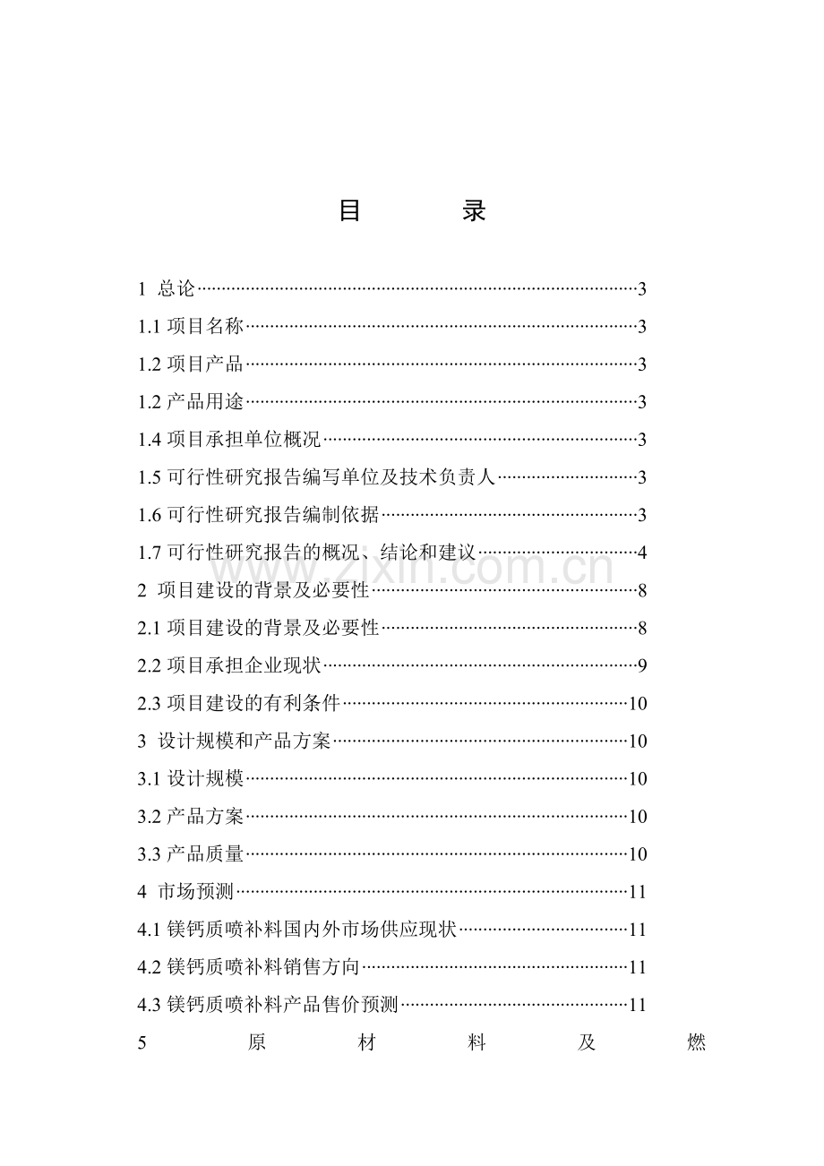 镁制品生产废物资源化再利用工程可行性研究报告.doc_第2页