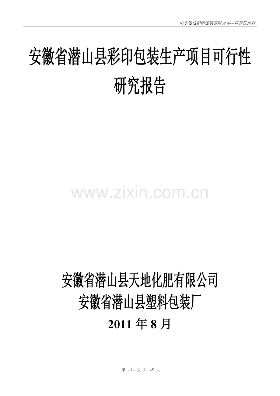 山东远达彩印包装有限公司彩印包装生产项目申请建设可研报告.doc_第1页