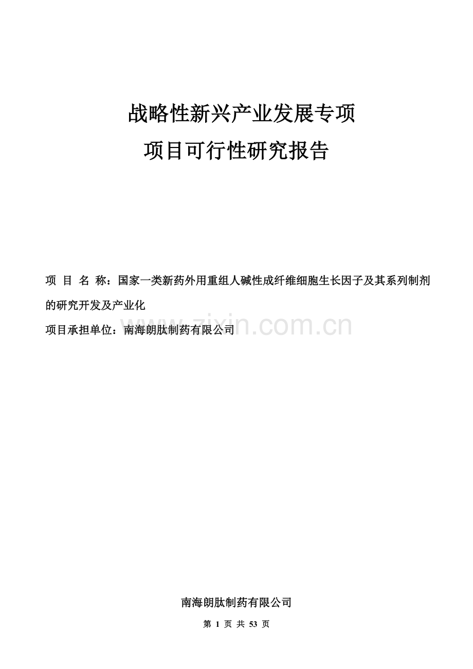 战略性新兴产业发展专项项目建设可研报告.doc_第1页