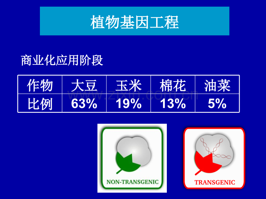 人教生物选修三基因工程的应用.pptx_第3页