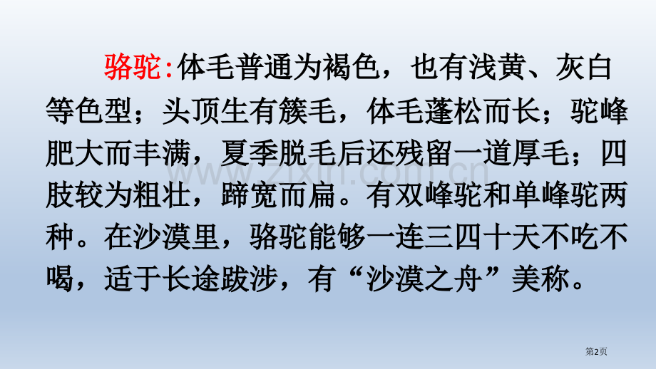 16.找骆驼市公开课金奖市赛课一等奖课件.pptx_第2页