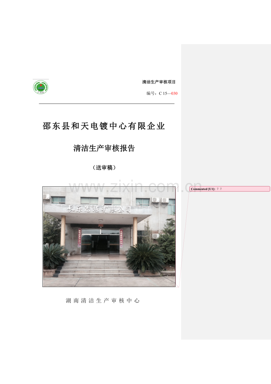 公司清洁生产审核报告新编.doc_第1页