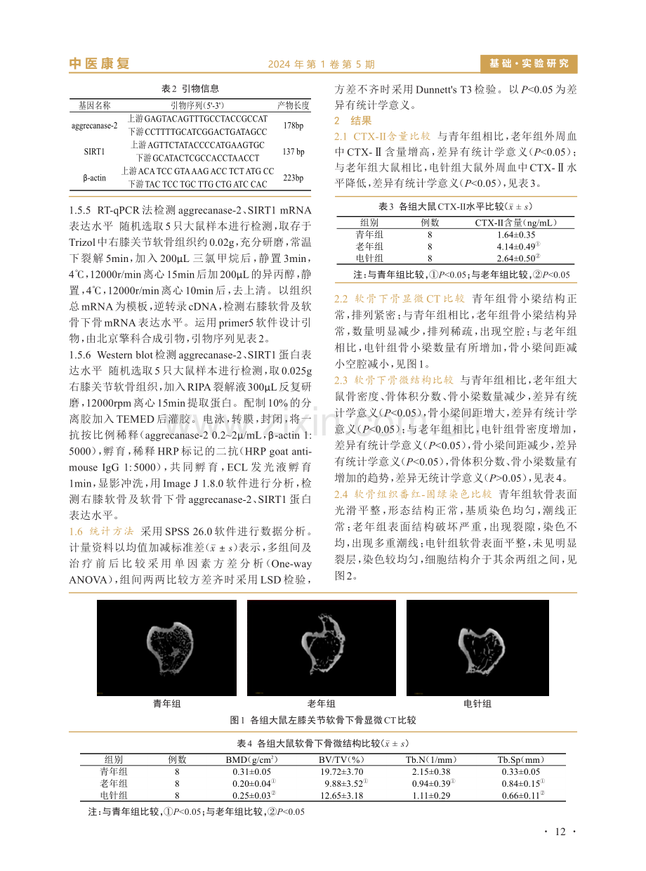 电针对KOA大鼠关节软骨及软骨下骨降解相关蛋白表达的影响.pdf_第3页